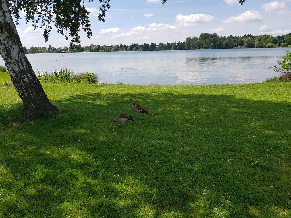 Ferienhaus Am See Hungen Экстерьер фото